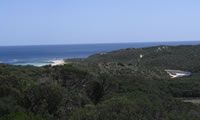 River Mouth
